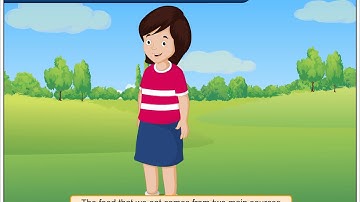 Food From Plants | Environmental Studies Class 3