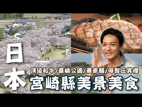 〔2023最新〕日本宮崎縣美景美食懶人包｜都城頂級和牛/粟嶋公園/手工蕎麥麵/母智丘賞櫻【#夢多玩東九州】#日本 #九州