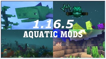 Best 1.16.5 Aquatic Update Mods [Forge] - Minecraft Cinematic Showcase