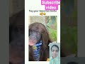 funny video 🙀🙀😹😹 # short # YouTube short