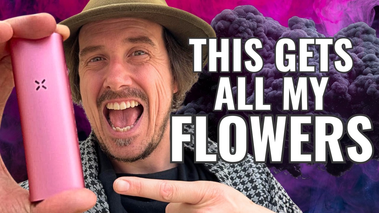 The New PAX Mini 🌿 – The Best Vaporizer in the World? (Honest Review)