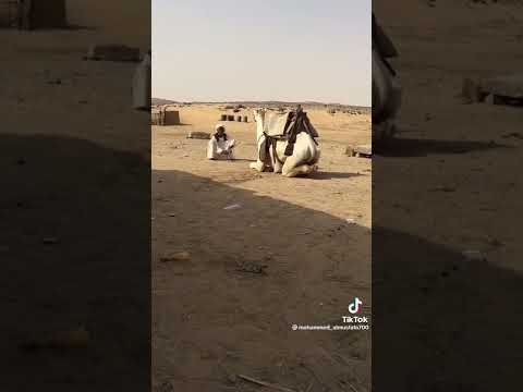 ود الخاويه شعر نضيف