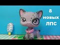 LPS: Посылки с новыми петами.