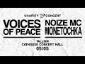 Noize MC - Из окна (Фристайл) | Live @ Tallinn (05.05.2022)