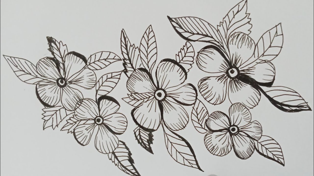 How to draw flowers | how to draw flowers step by step