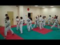 Семинар по каратэ - Тема базовая техника