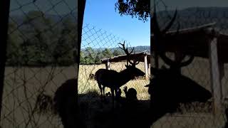 Rancho el Zapatero Mazamitla