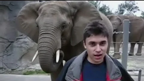 First YouTube video 🎥