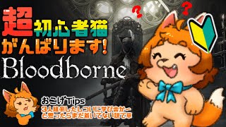 【Bloodborne】すみませーん！学び舎って聞いてきたんですけど！！？