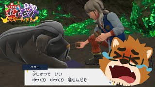 スパイス集めはパパに任せろ！！！『ポケモン スカーレット』実況プレイ！【#6】