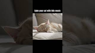 Music for restless cats #calmmusicforcats #cat #catrelaxation ￼