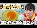 【最強のTKG】一個800円の超高級たまごでTKG作ってみた!