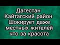 Поход  с ночевкой Кайтагский район Дагестан