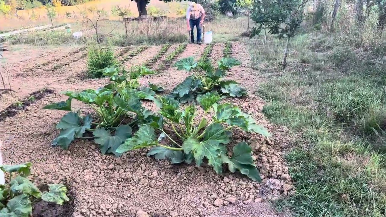 Kandıra Köy Hayatı / Vlog 1 /