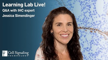 How to Optimize an Antibody for Immunohistochemistry