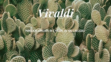 Vivaldi - Mandolin Concerto in C Major, RV 425, I. Allegro
