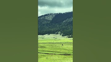 Thumbnail of #cover #lyrics #coversong #gigachadtheme #travel #motivation #mountains #nature #song #music