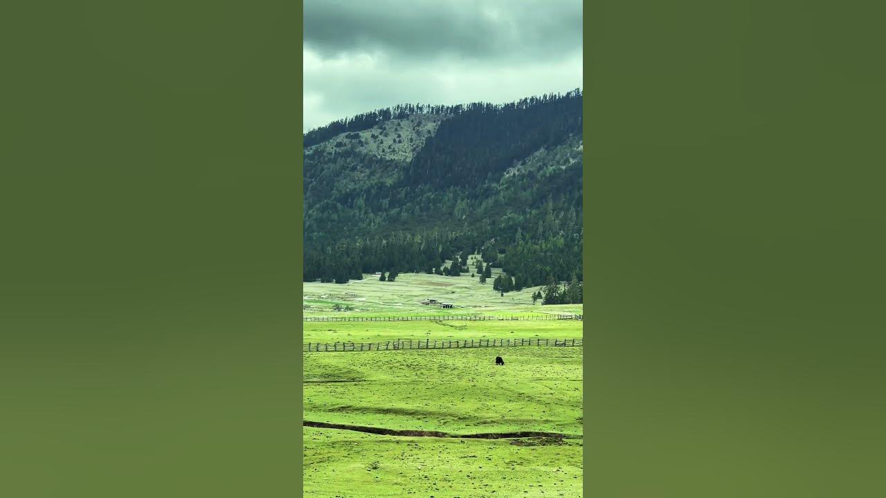 #cover #lyrics #coversong #gigachadtheme #travel #motivation #mountains #nature #song #music