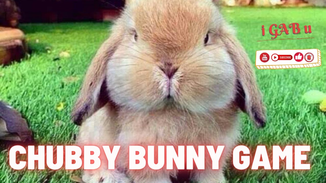 Chubby Bunny Challenge Youtube