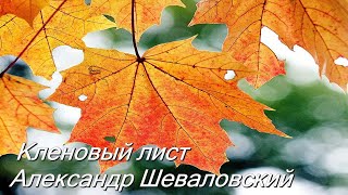 Кленовый лист, Шеваловский Александр, Обертон
