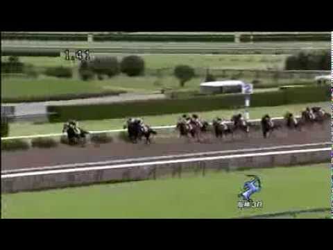 競馬 すごい追い込み ウォーシップマーチ Youtube 競馬 すごい追い込み ウォーシップマーチ Youtube