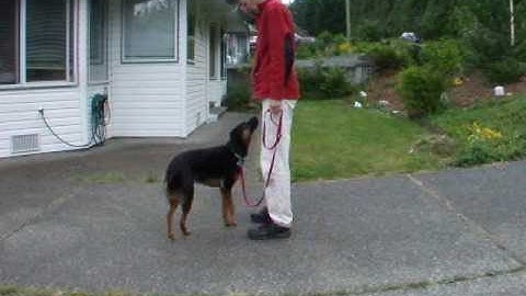 CARO Rally 0 17. call front finish right