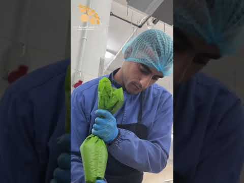 مستثمر لبناني يقيم مصنعا للشوكولاته في مدينة مادبا الصناعية بكلفة ١٥ مليون دينار