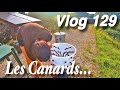 Je prpare des canards pour la premire fois vlog 129