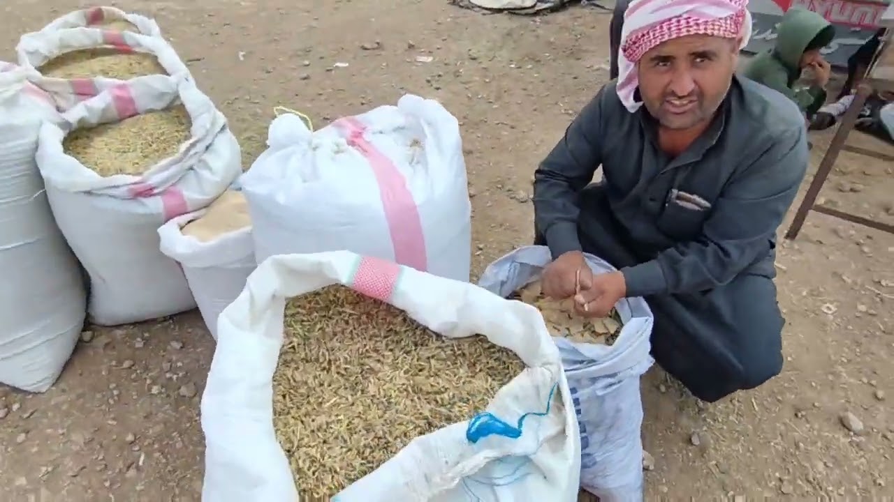 محافظة الرقة بيزار وسوق العدنانية أسعار الأعلاف اليوم