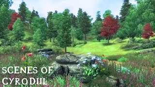 Scenes Of Cyrodiil | Oblivion Music and Ambience | Relax  Study  Sleep