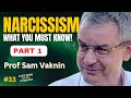 The psychology of narcissism  signs of abuse  professor sam vaknin