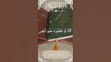 102Quran Surah At Takaathur  Al Sheikh Islam Sobhi  الشيخ اسلام صبحي   سورة التكاثر كاملة
