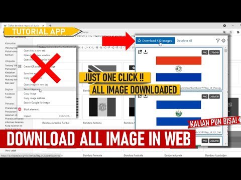 Cara Download Semua Gambar di Web via Chrome dan Firefox | How To Download All Images From A Website