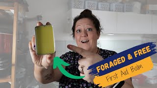 Nature's First Aid Kit: DIY Miracle Salve from Foraged Plants!