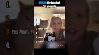Ranking The Funniest Cat Moments 18