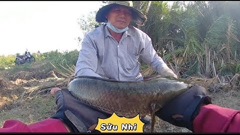 Điểm câu cá lóc, Cầu Kinh Nước Mặn, Cần Đước .L.A