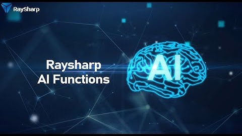 Raysharp AI functions display video