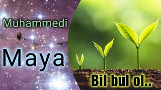 Insandaki Muhammedi maya / Toprağın değeri ***
