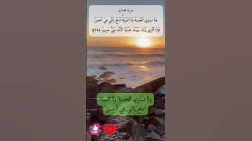 ولا تستوي الحسنة ولا السيئة | سورة فصلت #دعاء_ورسالة
