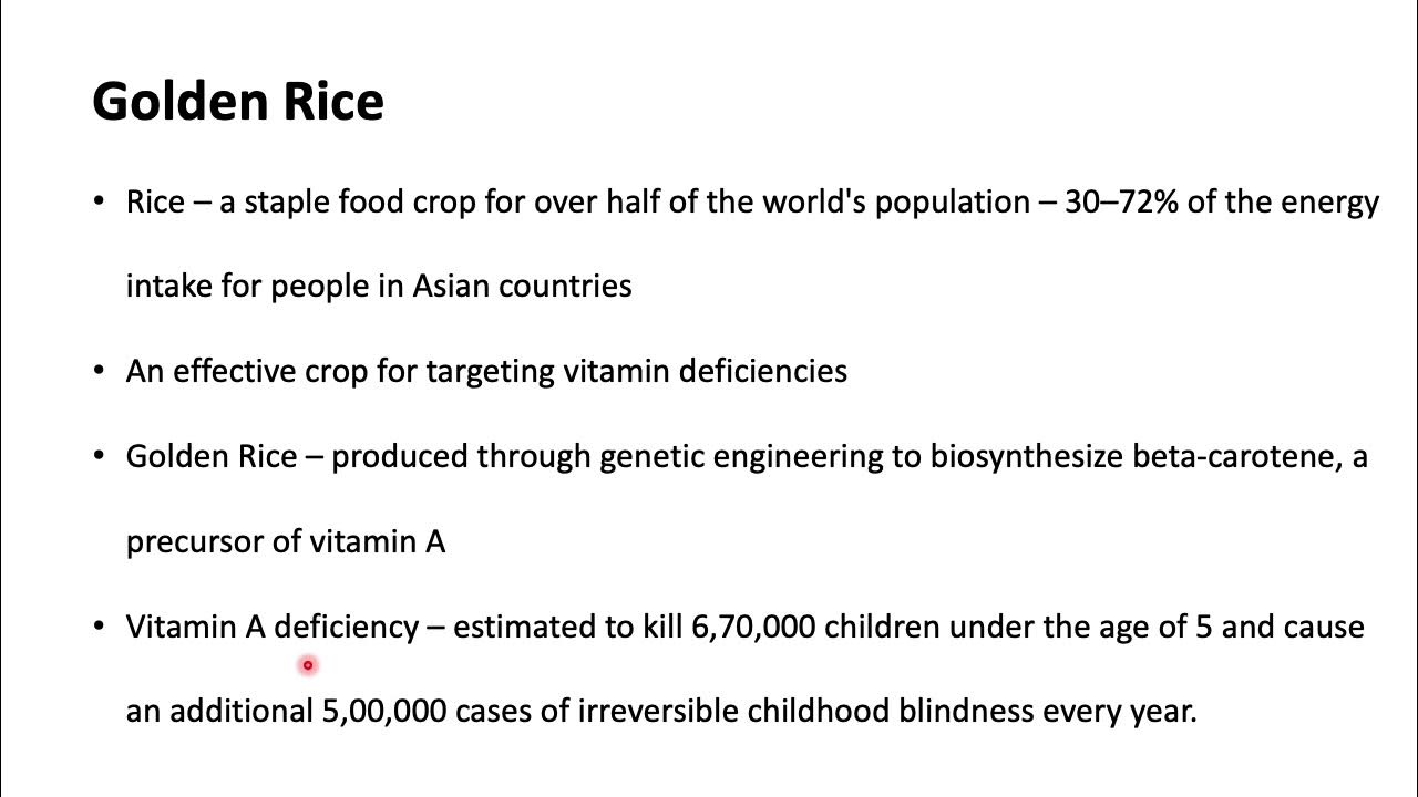 Pros and Cons of Biotechnology Part 01/02 biotechnology biosafety