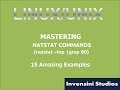 Mastering Linux Netstat Command