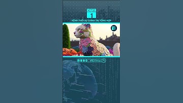 Thực hư hình ảnh linh vật "mèo sang" cực đẹp ở Ninh Thuận | VTC1