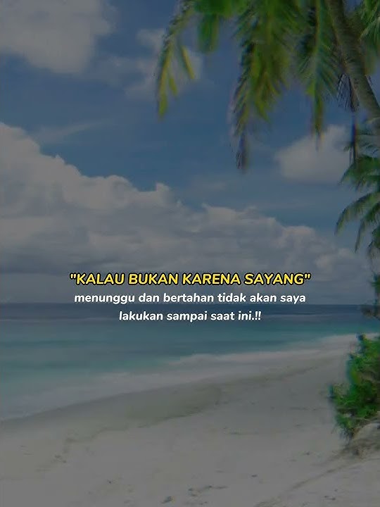 Status wa setia band - asmara (cover) cocok buat story wa galau