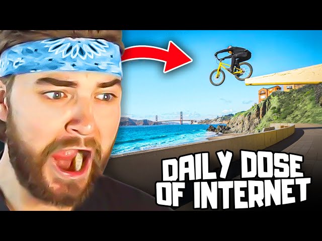 KingWoolz Reacts to DAILY DOSE OF INTERNET INSANE CLIPS!! (Hilarious) class=