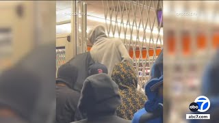 Mob of looters ransack AutoZone in South LA, video shows