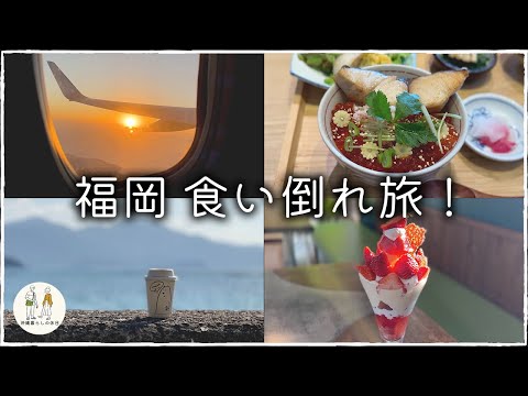 【福岡旅行】糸島をドライブしたら美味しいものだらけでした…