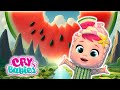 TUTTI FRUTTI Full Season 3 Complete | Full Episodes MAGIC TEARS | Kitoons Cartoons for Kids