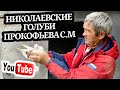 Николаевские голуби Прокофьева С.М. Тел. 8 (905) 018-92-63  осень 🍂 3 часть