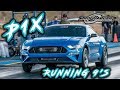 2019 Mustang BABY ProCharger running 9's!