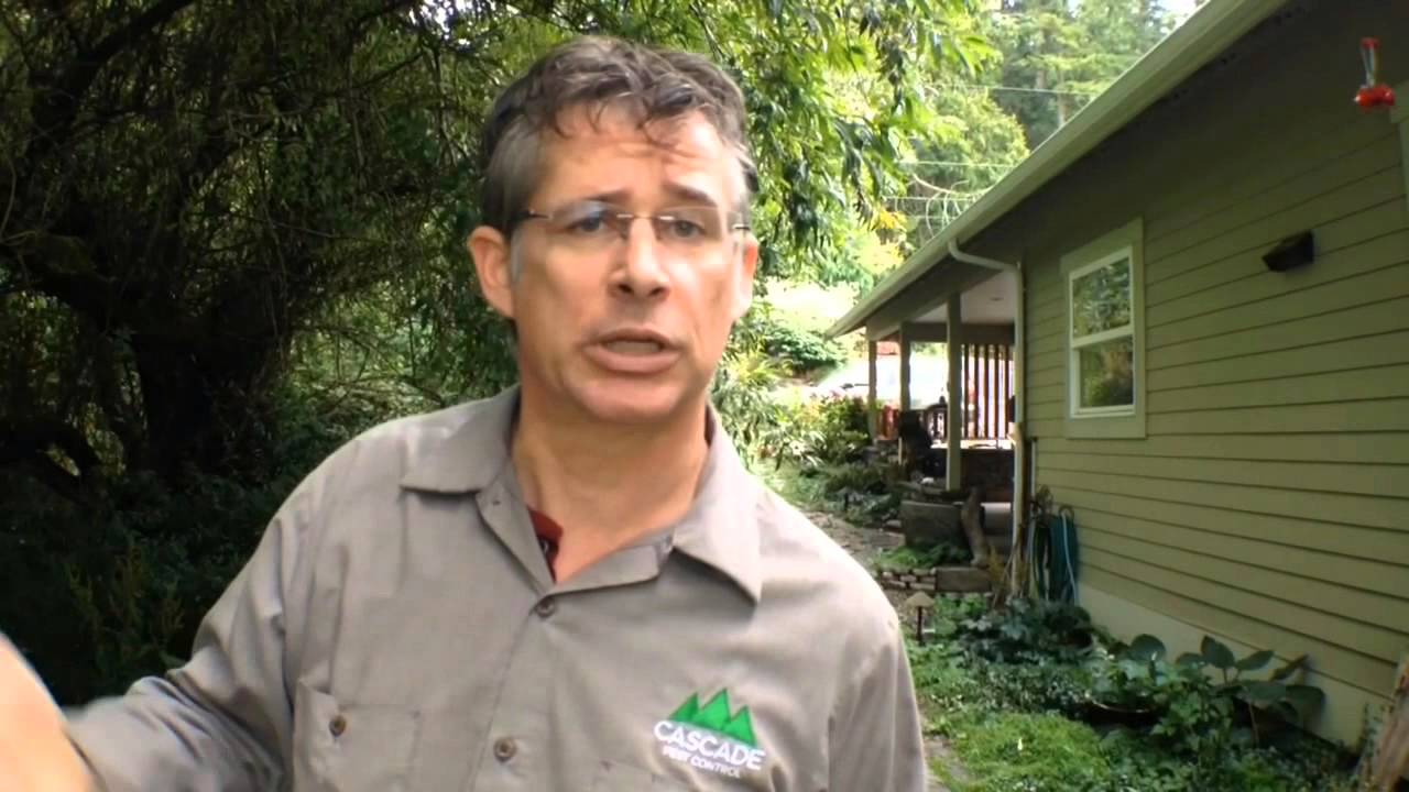 Rodent Inspection Part 6 Neighborhood Range of Rodent Infestation